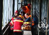 Rescue Patrol 2012