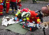 Rescue Patrol 2012