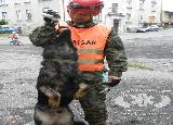 Rescue Patrol 2012