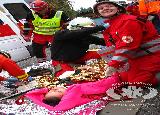 Rescue Patrol 2012