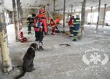 Rescue Patrol 2012