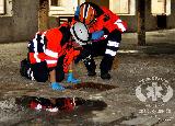 Rescue Patrol 2012