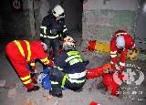 Rescue Patrol 2012