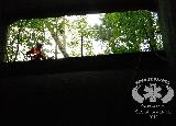 Rescue Patrol 2012
