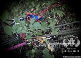 Rescue Patrol 2012