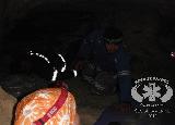Rescue Patrol 2012