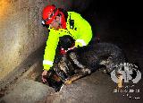 Rescue Patrol 2012