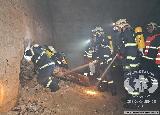 Rescue Patrol 2012