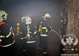 Rescue Patrol 2012