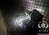 Rescue Patrol 2012