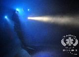 Rescue Patrol 2012