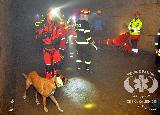 Rescue Patrol 2012