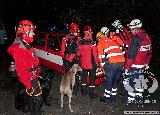 Rescue Patrol 2012