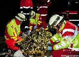 Rescue Patrol 2012