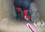 Rescue Patrol 2012
