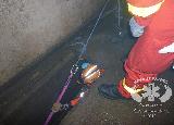 Rescue Patrol 2012