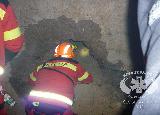 Rescue Patrol 2012