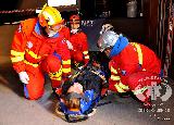 Rescue Patrol 2012