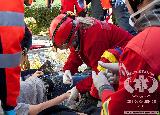 Rescue Patrol 2012