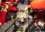 Rescue Patrol 2012
