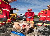 Rescue Patrol 2012